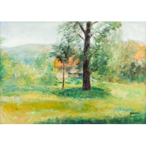 Irena Weiss zw. Aneri (1888 Łódź - 1981 Kraków), Dom za drzewem