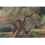 Adolf Milich (1884 Tyszowice near Zamosc - 1964 Paris), Olive Grove, 1924