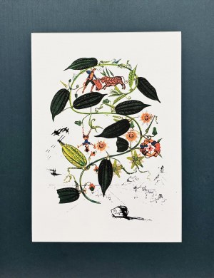 Salvador DALI (1904-1989), Flordali: Passiflora Laurigera