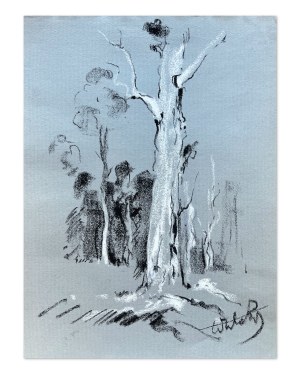 Victor Zin (1925-2007), Forest Sketch