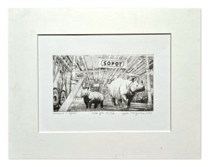 Agata Perzyńska, Rhinos in Sopot, 2022
