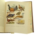 Birds of the Polish lands vol. I-II [co-edited] Jan Sokolowski [FROM THE BOOK OF RYSZARD ZIEMBY / 1958].
