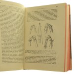 Folk Culture of the Slavs part 1, Maternal Culture by Kazimierz Moszyński [From KSIĘGOZBIORU RYSZARDA ZIEMBY / 1929].