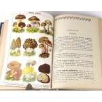 OCHOROWICZ-MONATOWA- UNIWERSALNA KSIĄŻKA KUCHARSKA Ilustracje i kolorowe tablice