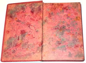 ZUKOWSKI-Into the land of the child 2nd edition.
