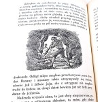 DEFOE - PRZYPADKI ROBINZONA KRUZOE wyd. 1937 stan