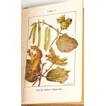 BUCKLEY - ŻYCIE W LESIE W POLU chromolitografie