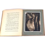 DYGASIŃSKI- GODY ŻYCIA ilustr. Gawiński 1910 OPRAWA