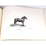 CZAPSKI - HISTORYA POWSZECHNA KONIA. ATLAS reprint
