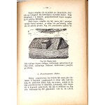 RINGELMAN- BUDOWNICTWO WIEJSKIE 1903 ilustracje