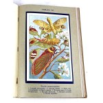 GUSTAWICZ, WYROBEK- ŻYCIE ZWIERZĄT T.1-5 [komplet w 5 wol.], ładny egzemplarz