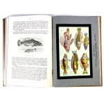 GUSTAWICZ, WYROBEK- ŻYCIE ZWIERZĄT T.1-5 [komplet w 5 wol.], ładny egzemplarz