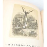 LA FONTAINE- BAJKI, il. Grandeville, luksusowa oprawa skórzana