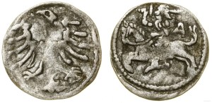 Poland, denarius, Vilnius