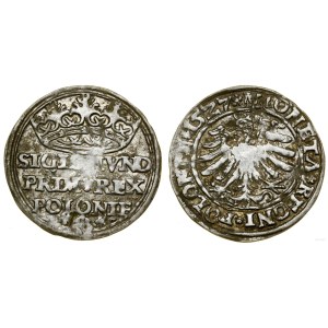 Polska, grosz, 1527, Kraków