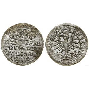 Polska, grosz, 1528, Kraków