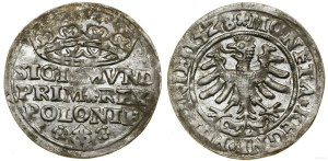 Poland, grosz, 1528, Kraków