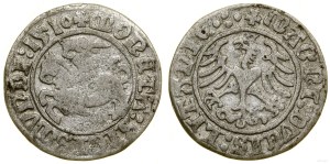 Poland, half-penny, 1510, Vilnius