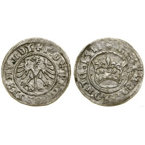 Polska, półgrosz, 1511, Kraków