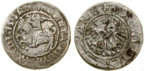 Poland, half-penny, 1519, Vilnius