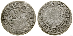 Poland, half-penny, 1521, Vilnius