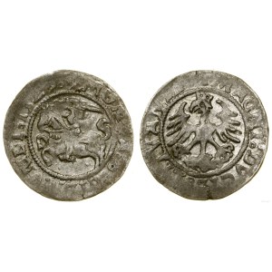 Polonia, mezzo penny, 1523 (?), Vilnius