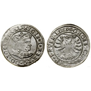 Polska, grosz, 1529, Toruń