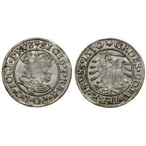 Polska, grosz, 1530, Toruń