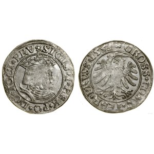 Polska, grosz, 1531, Toruń