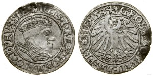 Poland, penny, 1534, Torun