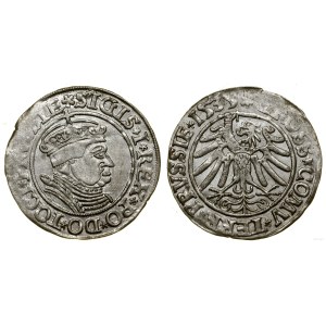Polska, grosz, 1535, Toruń