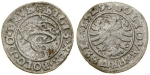 Poland, sheląg, 1529, Toruń