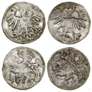 Polska, zestaw: 2 x denar, 1556, Wilno