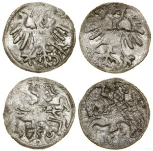 Poland, set: 2 x denarius, 1556, Vilnius