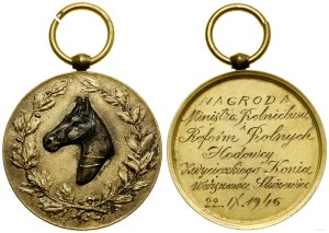 Poland, award badge, 1946