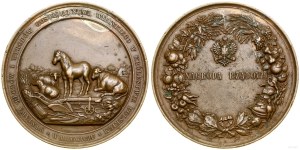 Poland, award medal, no date (1858), Warsaw