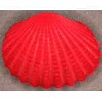 Silver Nativity Set 8 Grams of Silver In Case