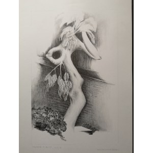 Andrzej KUŚMIERCZYK (ur. 1955), Madonna in Belper, 2025