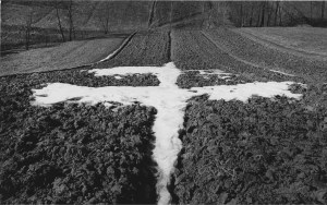 Pawel Piercinski, Bird - Pre-Winter ed. 3/10, 1974