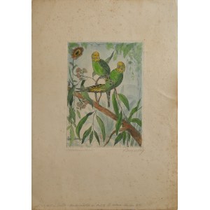Richard KANNENBERG (1888-?), Para papużek, lata 20-30 XX w.