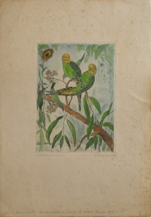Richard KANNENBERG (1888-?), Pair of parakeets, 1920s-30s.