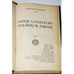 BRUCKNER ALESKANDER - DZIEJE LITERATURY POLSKIEJ W ZARYSIE, 1-2 komplet [współoprawne].