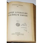 BRUCKNER ALESKANDER - DZIEJE LITERATURY POLSKIEJ W ZARYSIE, 1-2 komplet [współoprawne].