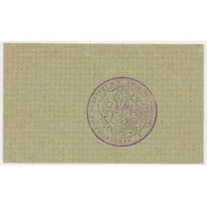 Lviv Wielkopolski [Neustadt bei Pinne], 25 fenigs (1917)
