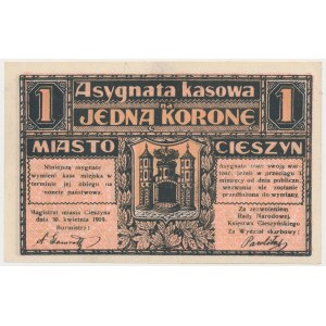 Cieszyn, 1 korona 1919