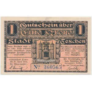 Cieszyn, 1 korona 1919