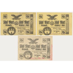 Zielona Góra [Grünberg], 5 marek 1918 - RÓŻNE odmiany (3szt)