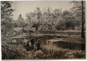 Jagiellonian University Botanical Garden - Fragment of the Pond [ Krakow ].