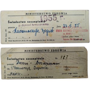 Świadectwo szczepienia na dur brzuszny, Bielsko Biała 1955 [ Ministerstwo Zdrowia ]