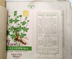 Certificate of vaccination for typhoid fever, Bielsko Biala 1955 [ Ministry of Health ].